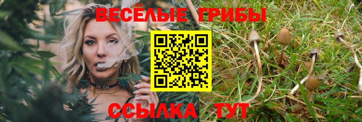 Галлюциногенные грибы Psilocybine cubensis Джанкой
